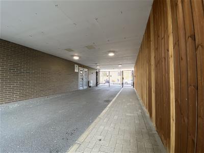 Picture 11